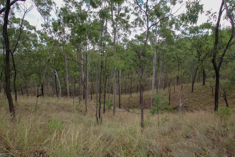 Fourth view of Homely rural property listing, 670 Norton Road, Boyne Valley QLD 4680