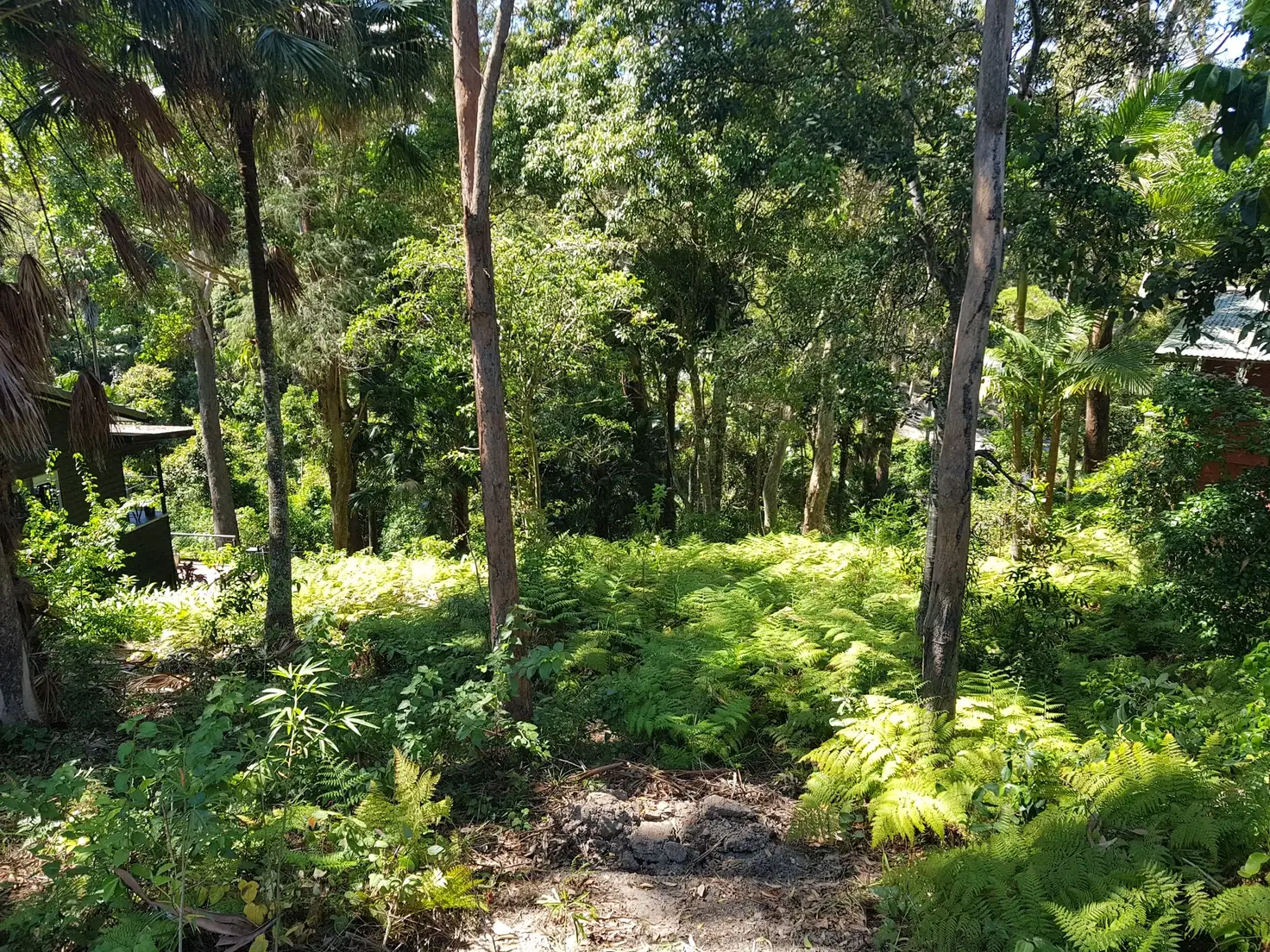 Main view of Homely land listing, 14 First Ridge Road, Smiths Lake NSW 2428