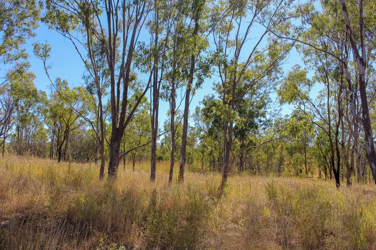 1160 Mount Alma Road, Bracewell QLD 4695