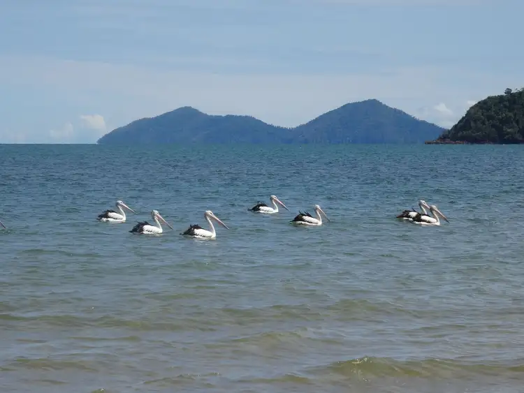Fifth view of Homely land listing, 5 Rebecca Jane Parade, Kurrimine Beach QLD 4871
