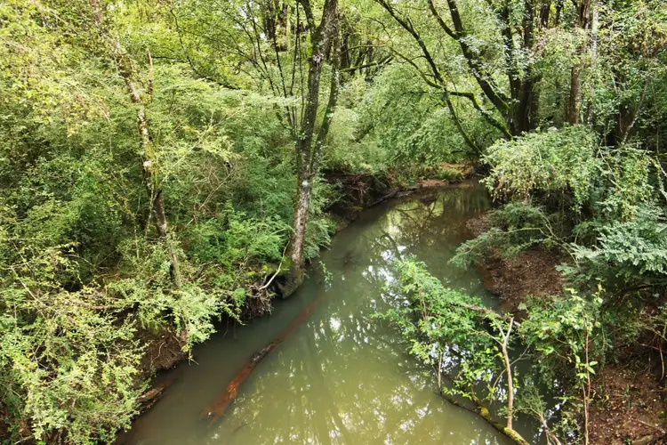 Fourth view of Homely rural property listing, 85 Lillian Rock Road, Blue Knob NSW 2480