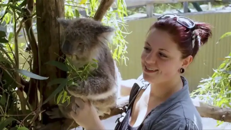 Fourth view of Homely land listing, 11 Bowline Court, Coronet Bay VIC 3984