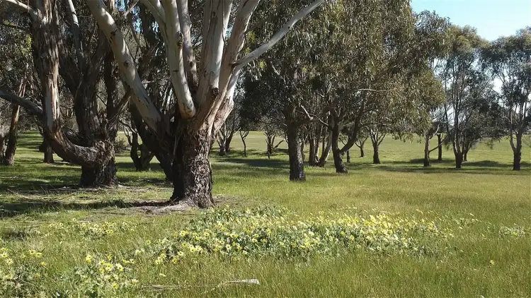 Seventh view of Homely land listing, 11 Bowline Court, Coronet Bay VIC 3984