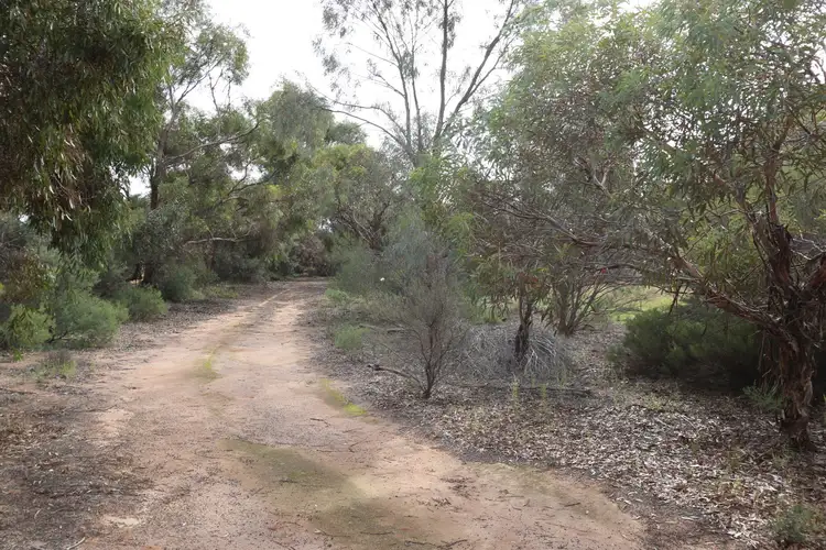 LOT lot 250, 31 Old Blanchetown Road, Waikerie SA 5330