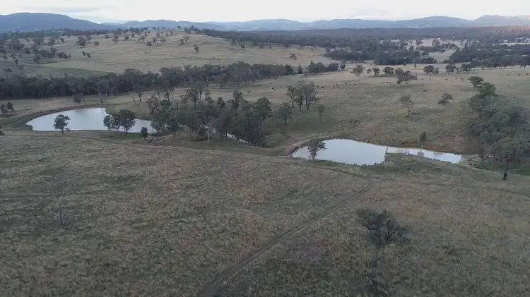 Second view of Homely rural property listing, 8649 New England Highway, Muswellbrook NSW 2333