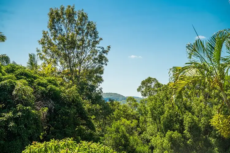 Sixth view of Homely rural property listing, 284 Emerson Road, Repentance Creek NSW 2480