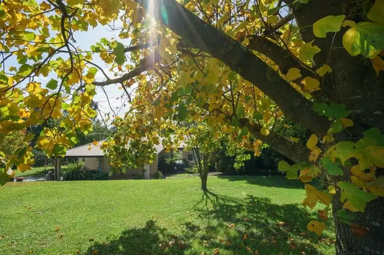 Main view of Homely house listing, 14 Green Valley Drive, Drouin VIC 3818