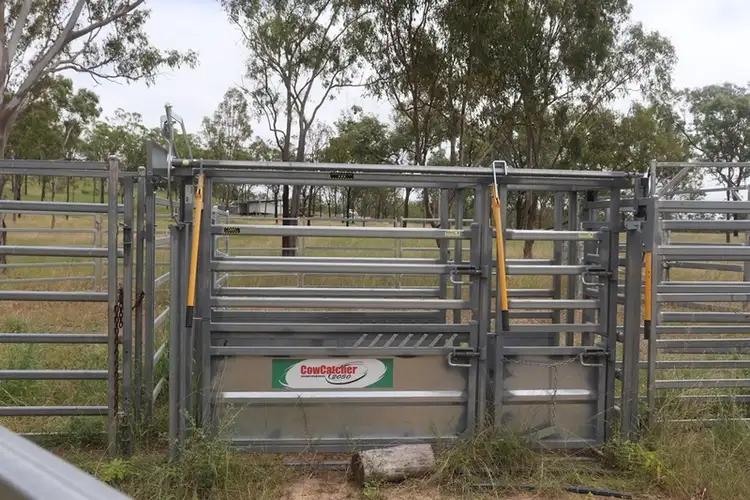 Fourth view of Homely rural property listing, 685 Neill Creek Road, Wooderson QLD 4680