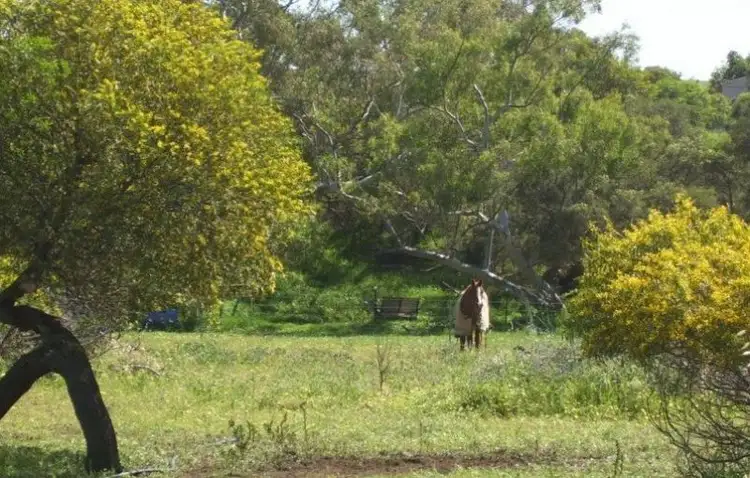 Main view of Homely house listing, Lot 33 Rose Street, Isseka WA 6535