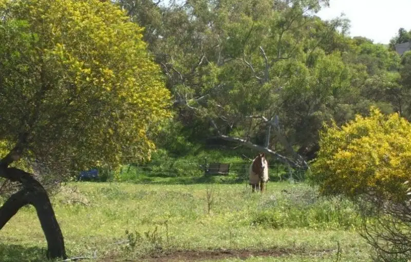 Main view of Homely house listing, Lot 33 Rose Street, Isseka WA 6535