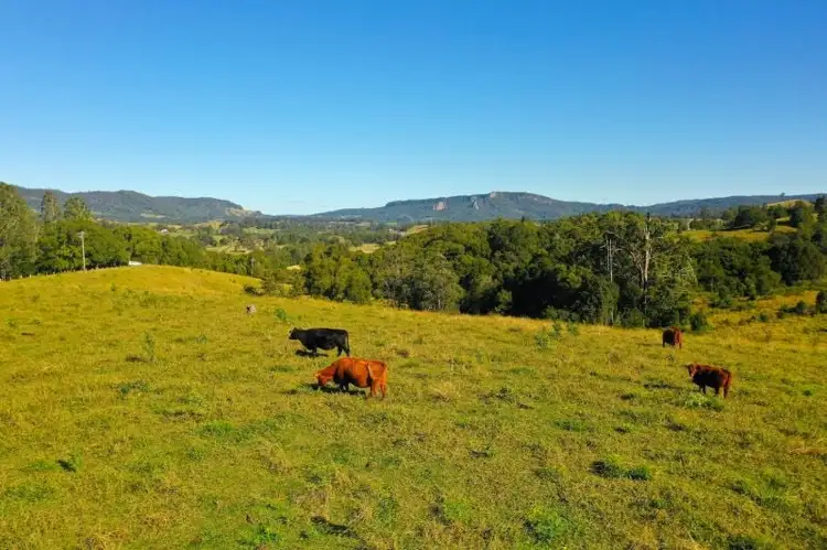 Third view of Homely rural property listing, 5 Hensen Road, Nimbin NSW 2480
