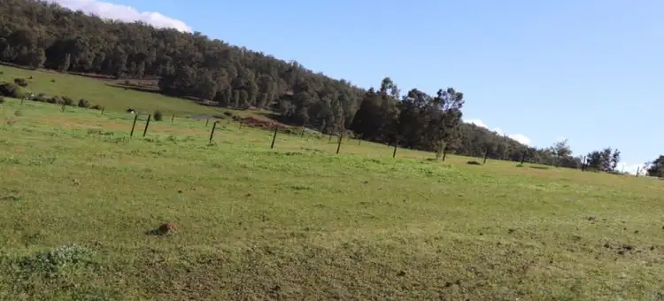 Fourth view of Homely land listing, 4004 Scaffidi Place, Donnybrook WA 6239
