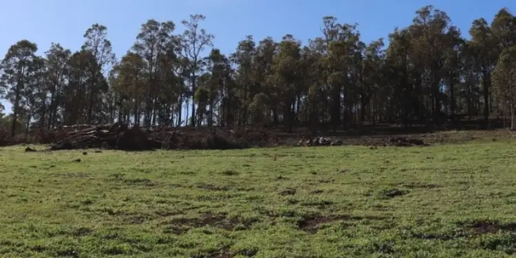 Third view of Homely land listing, 4008 Scaffidi Place, Donnybrook WA 6239