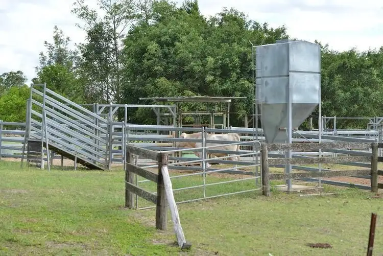 Fourth view of Homely rural property listing, 643 Kinmond Creek Road, Cootharaba QLD 4565