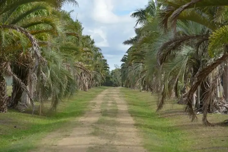Seventh view of Homely rural property listing, 643 Kinmond Creek Road, Cootharaba QLD 4565