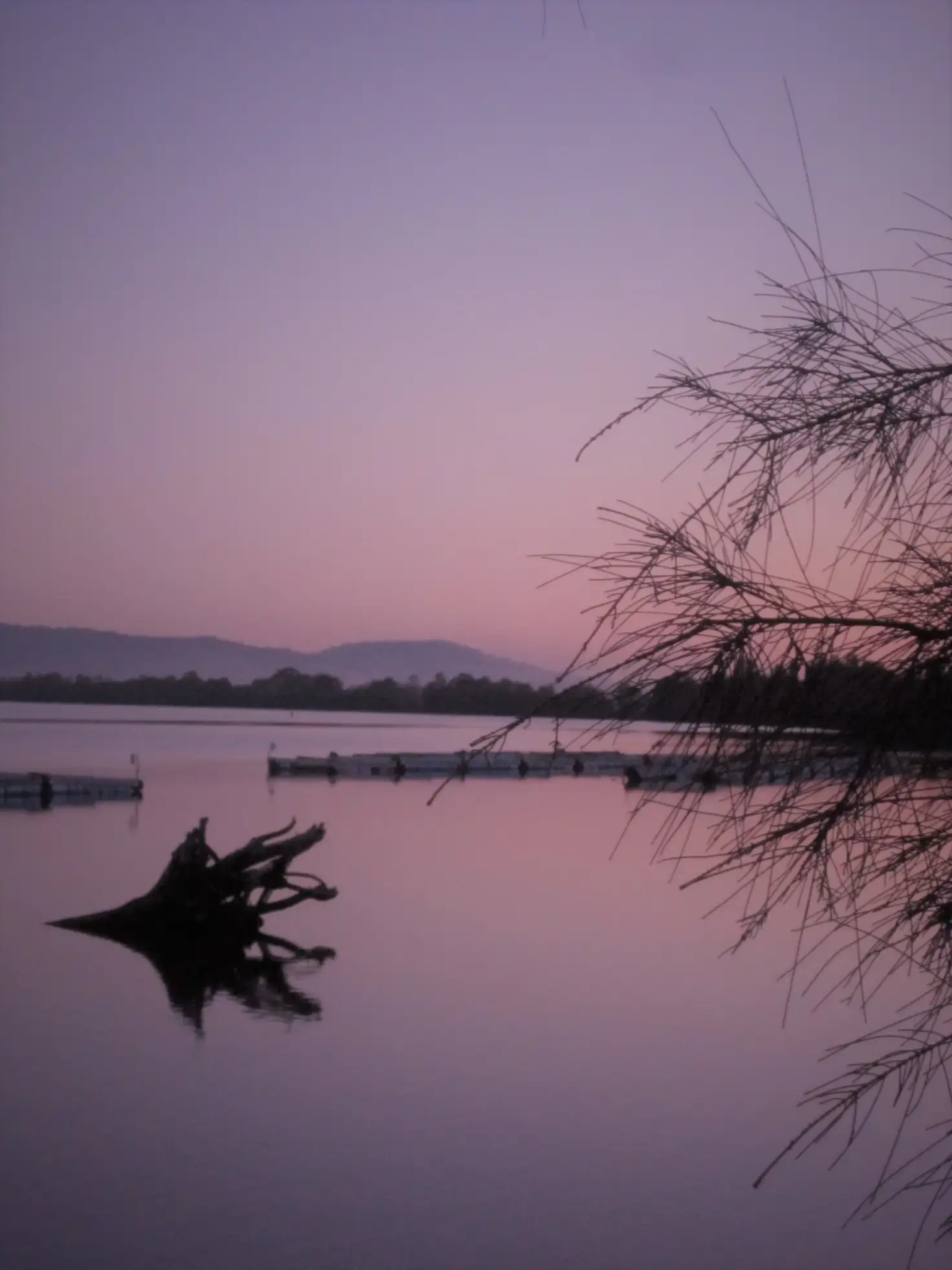 Main view of Homely house listing, 65/1790 Giinagay Way, Nambucca Heads NSW 2448