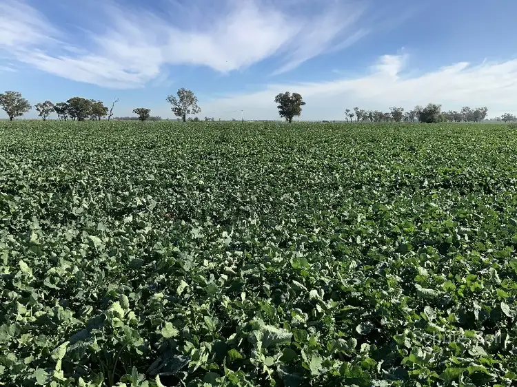 . Sunriver, Narromine NSW 2821