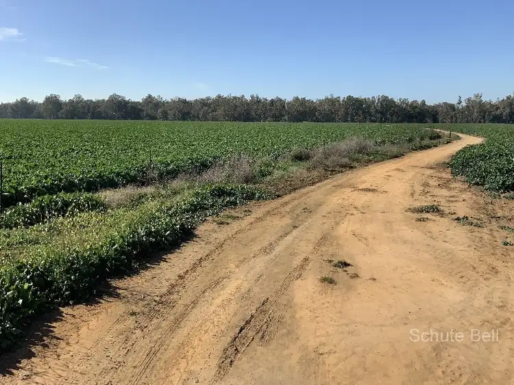 Seventh view of Homely rural property listing, . Sunriver, Narromine NSW 2821