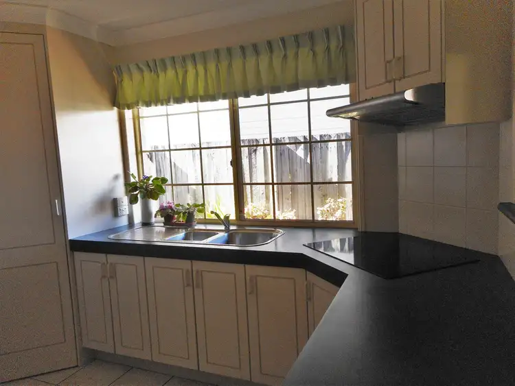 Seventh view of Homely house listing, 103 Manson Road, Hendra QLD 4011