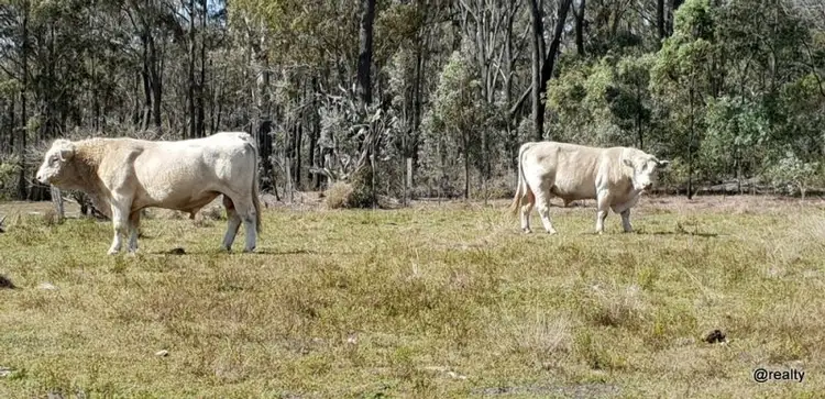 Fifth view of Homely rural property listing, 149 Whitaker Road, Nanango QLD 4615