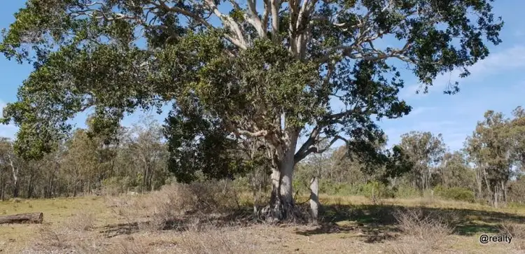 Sixth view of Homely rural property listing, 149 Whitaker Road, Nanango QLD 4615