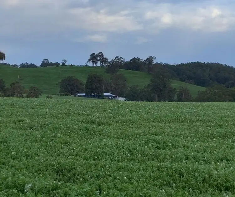 Fifth view of Homely rural property listing, Lot 59 King Spring Rd, Thomson Brook WA 6239