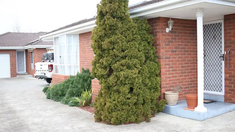 Fourth view of Homely unit listing, 2/53 Carlton Street, New Town TAS 7008