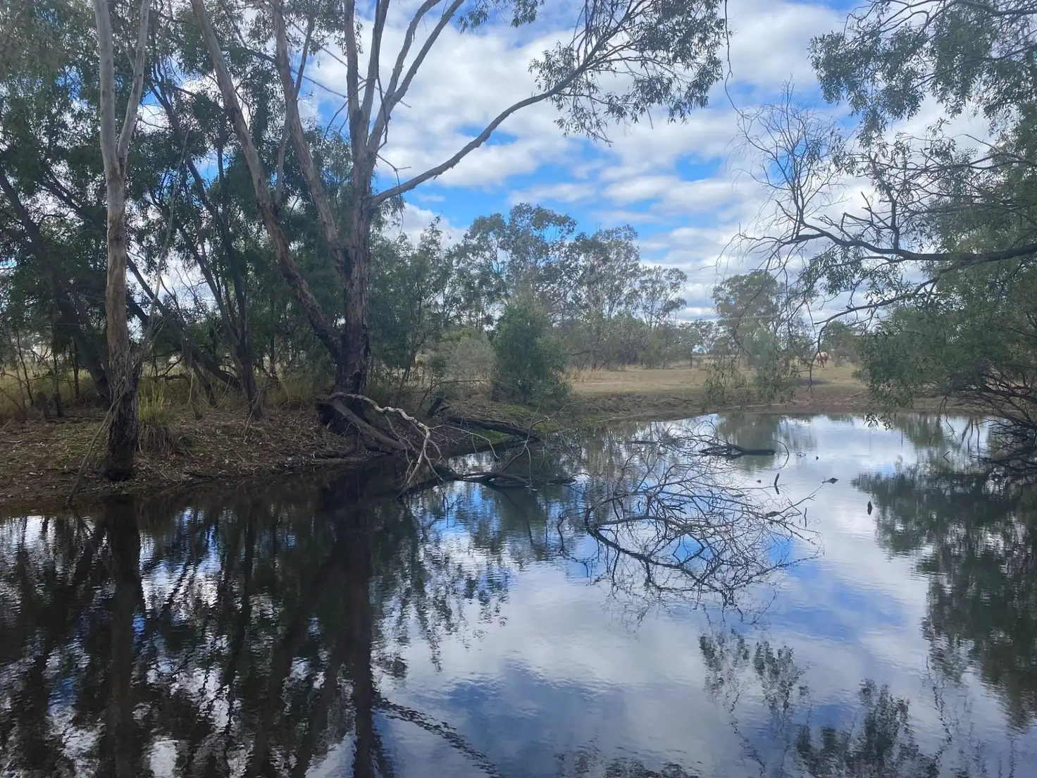 Main view of Homely land listing, 31 WILSON ST, Condamine QLD 4416