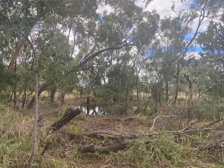 Second view of Homely land listing, 31 WILSON ST, Condamine QLD 4416