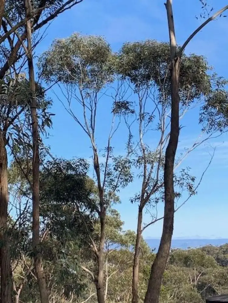 Third view of Homely land listing, 35 Foy Avenue, Medlow Bath NSW 2780