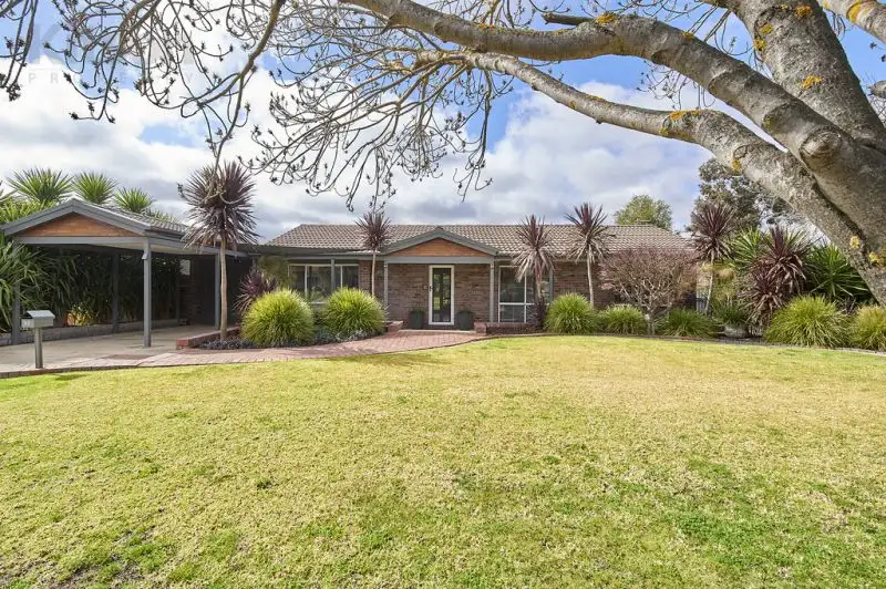 Main view of Homely house listing, 19 Wiradjuri Crescent, Wagga Wagga NSW 2650
