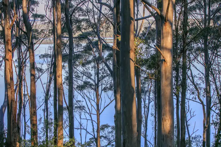 Second view of Homely house listing, 18 Payne Road, Denmark WA 6333