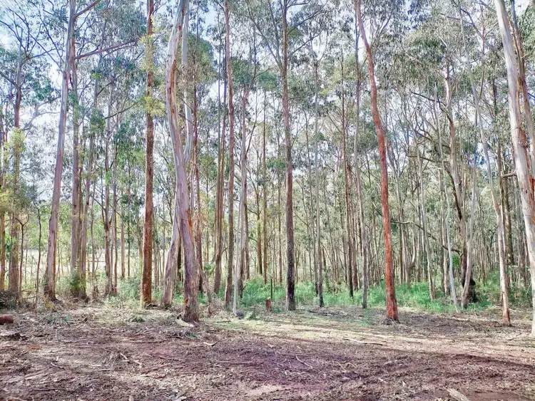 Second view of Homely land listing, 265 Tolmie-mahaikah rd, Tolmie VIC 3723