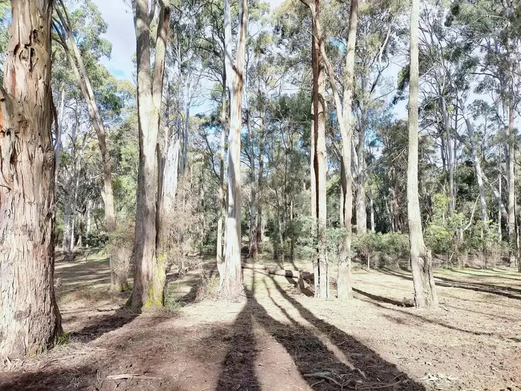 Third view of Homely land listing, 265 Tolmie-mahaikah rd, Tolmie VIC 3723