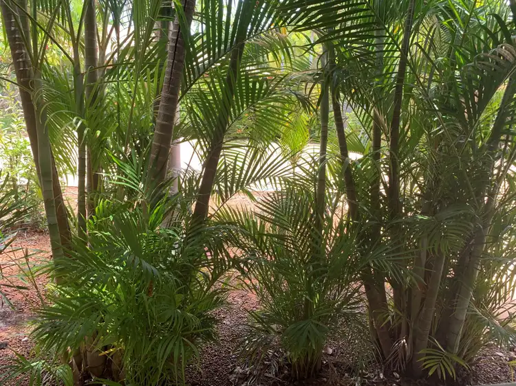 Third view of Homely house listing, Unit B/108 Herbert Street, Broome WA 6725