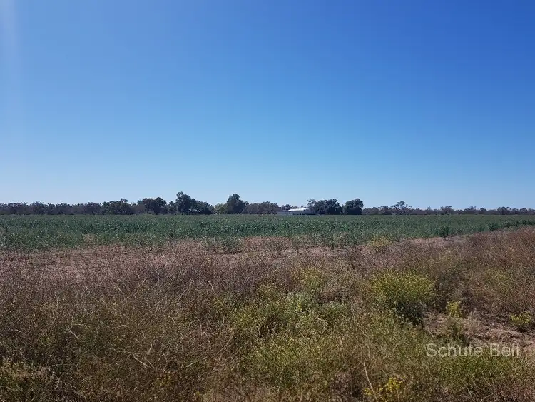 Fourth view of Homely rural property listing, . Clonmel, Brewarrina NSW 2839