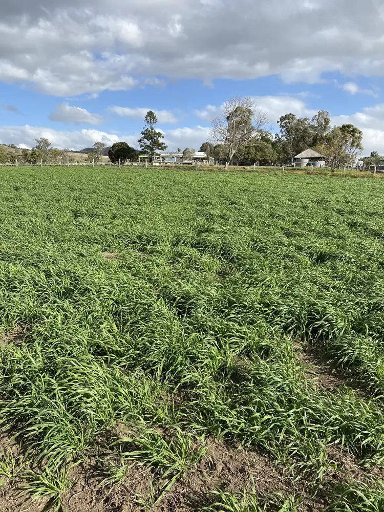 Lots 27 & 28 O'Maras Road, Mount Colliery QLD 4370