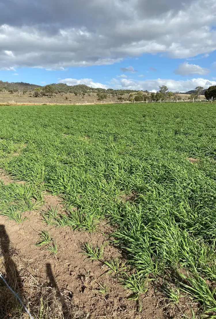 Third view of Homely land listing, Lots 27 & 28 O'Maras Road, Mount Colliery QLD 4370
