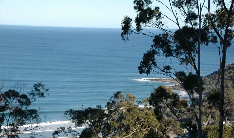 23 Karingal Drive, Wye River VIC 3221