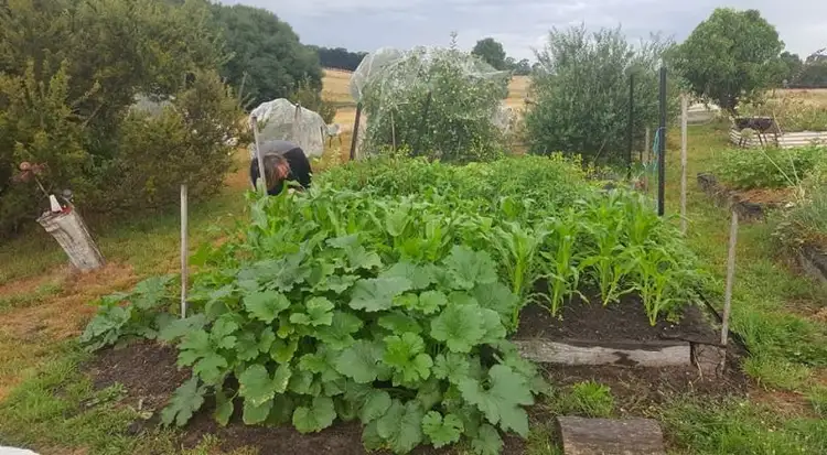 Sixth view of Homely rural property listing, 128 Wheeo Road, Grabben Gullen NSW 2583