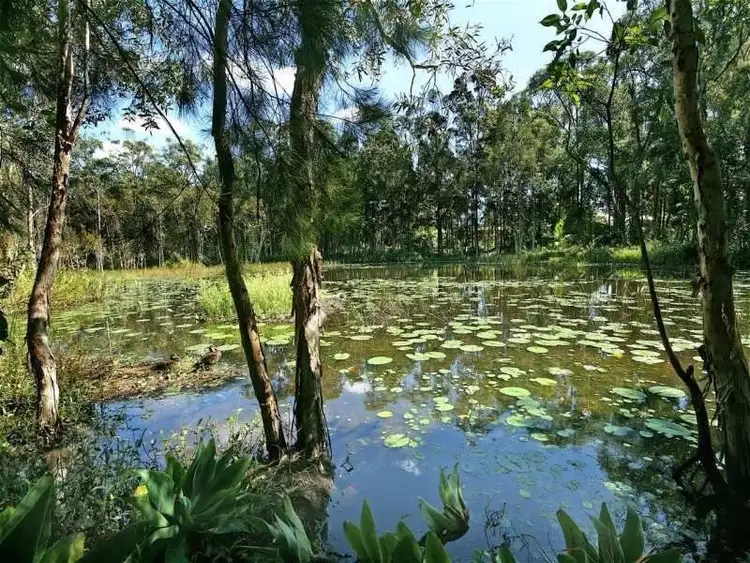 Seventh view of Homely house listing, 18 Lomandra Pl, Tewantin QLD 4565
