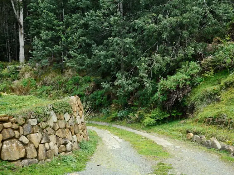 Third view of Homely house listing, 150 Gallaghers Road, Birchs Bay TAS 7162