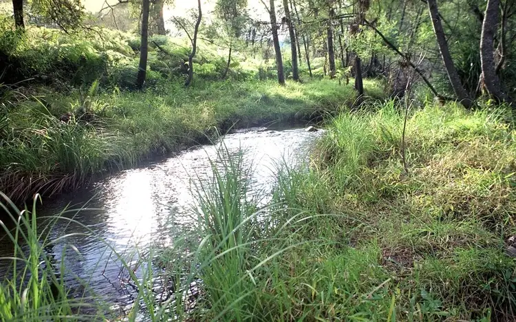 928 Mountain Road, Nerrigundah NSW 2545
