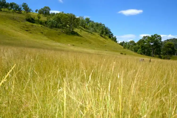 Second view of Homely land listing, LOT 9, 8944 D'Aguilar Highway, Moore QLD 4306