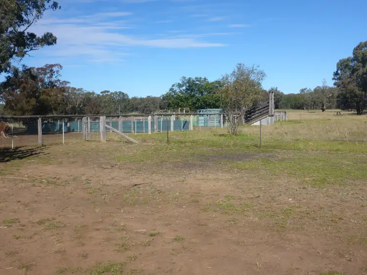Seventh view of Homely rural property listing, 201 Goragilla Road, Purlewaugh NSW 2357