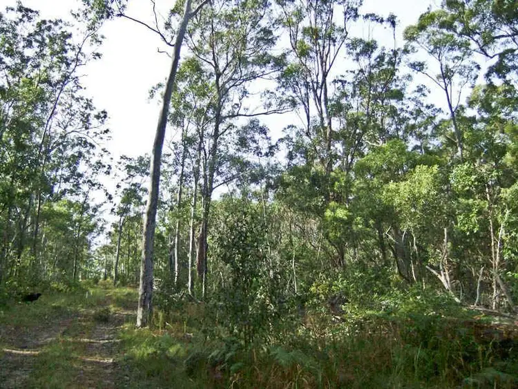 Second view of Homely rural property listing, Lot 1 of DP 751372 Sh, Gulmarrad NSW 2463