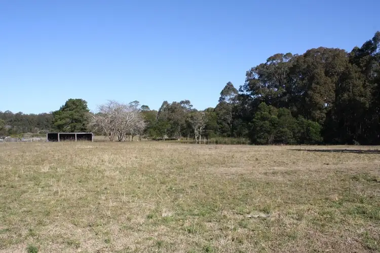 Main view of Homely land listing, Lot 208 Daisy Place, Worrigee NSW 2540