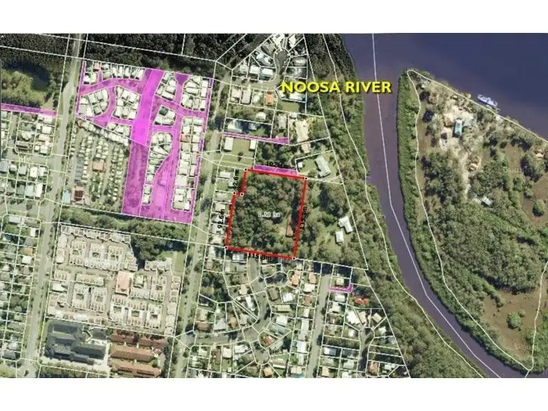 Main view of Homely house listing, 20 Eagle Drive, Tewantin QLD 4565