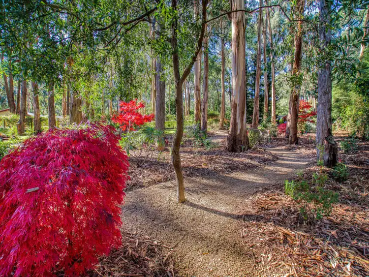 Sixth view of Homely house listing, 4 Blue Gum Court, Upwey VIC 3158