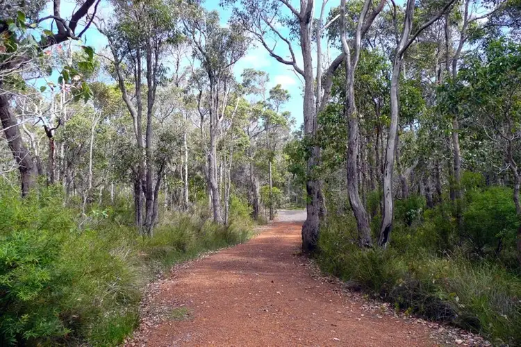 Second view of Homely house listing, 10 Crowea Road, Denmark WA 6333